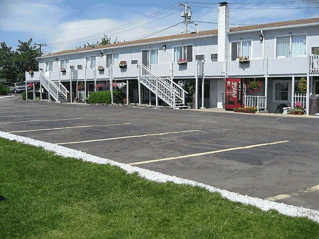 Sea Whale Motel Middletown Dış mekan fotoğraf